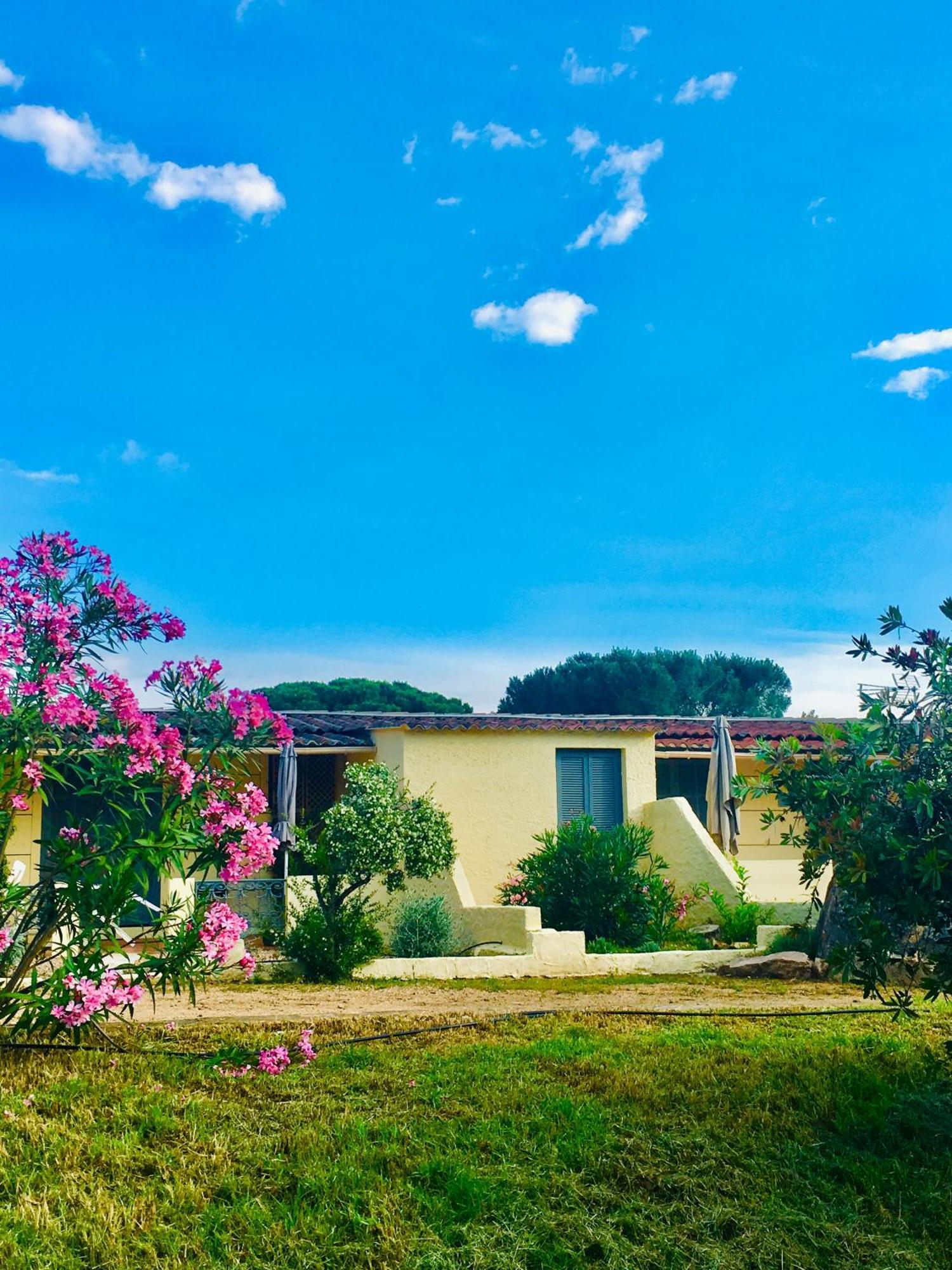 Bungalows Filippi Porto Vecchio Exterior foto
